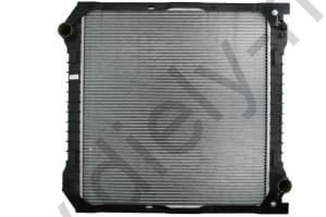 10021906 TTX